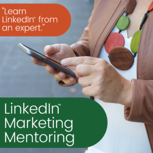 linkedin marketing mentoring with karen hollenbach